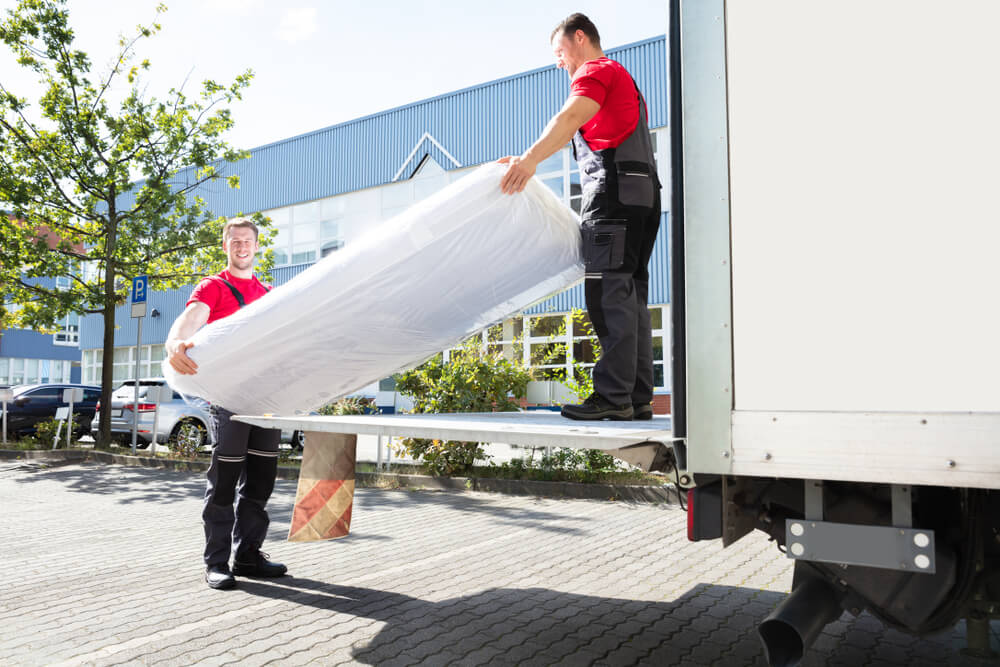 Expert Moving Crew